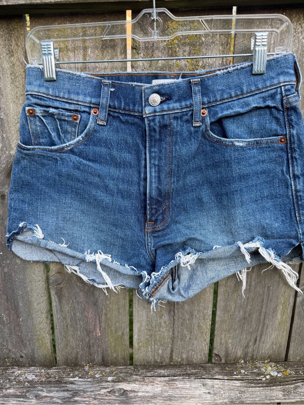 Abercrombie & Fitch High Rise Mom Shorts Size 27/4